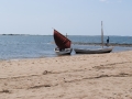 dsc_00681.jpg